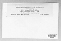 Image Associated With the Occurence